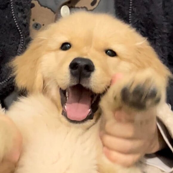 Meet your Posher, Mary - Picture 1 of 1